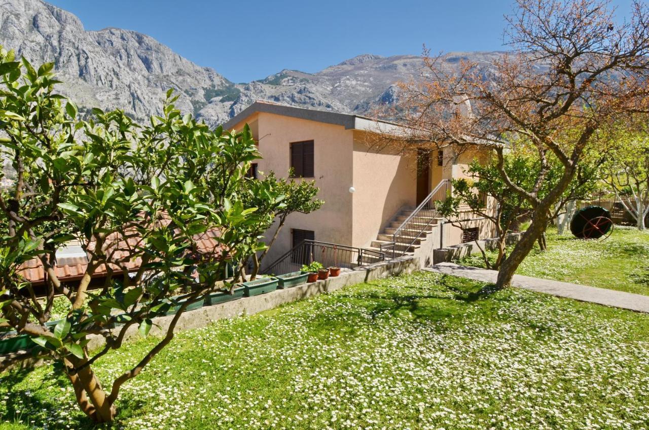 Apartments Andrija كوتور المظهر الخارجي الصورة